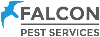 Pest Control in Nottingham and Derby Falcon Pest Services